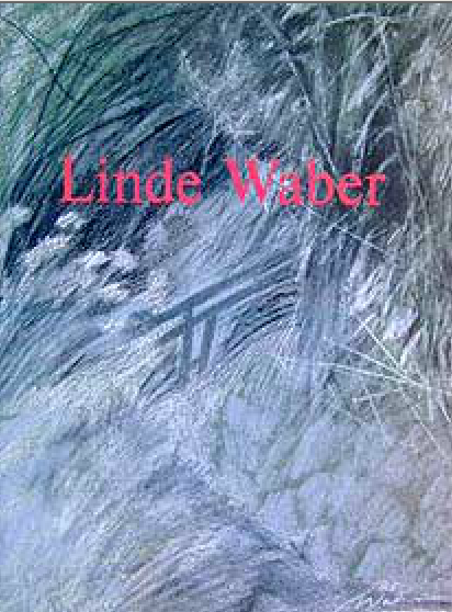 Linde Waber Buch